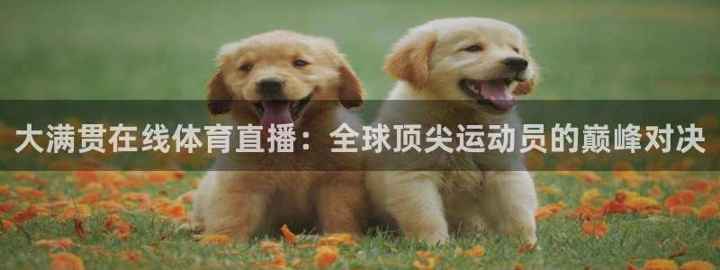 永利皇宫酒店图片