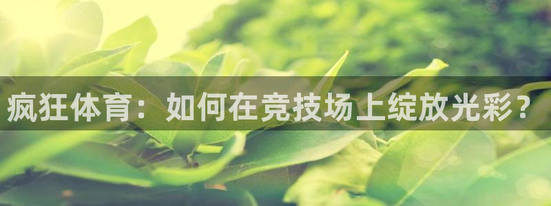 澳门永利发财树